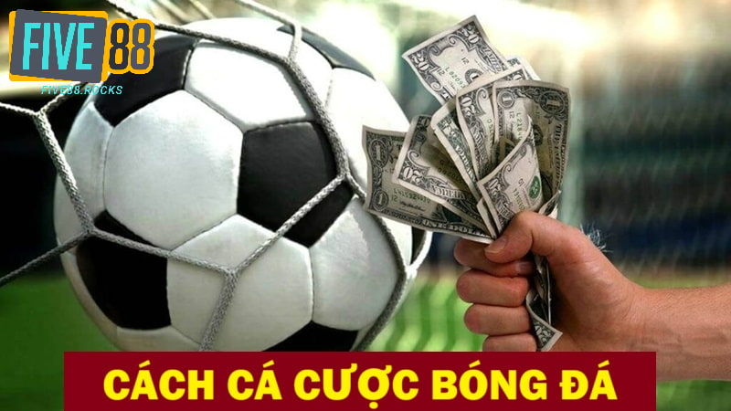 Cách chơi cá cược bóng đá online